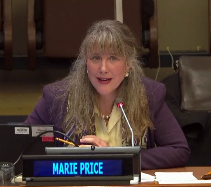 GUM Principal Investigator Marie Price at the United Nations