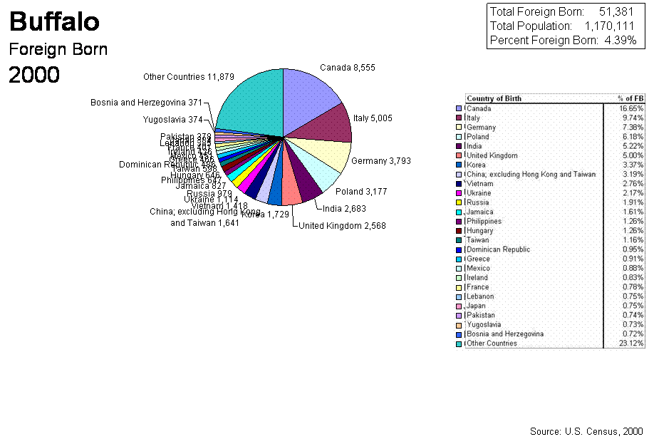 Pie Chart of 2000 Census Buffalo