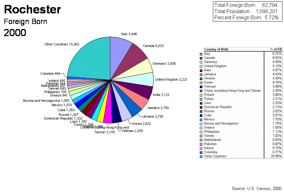 Pie Chart for 2000 Census Rochester